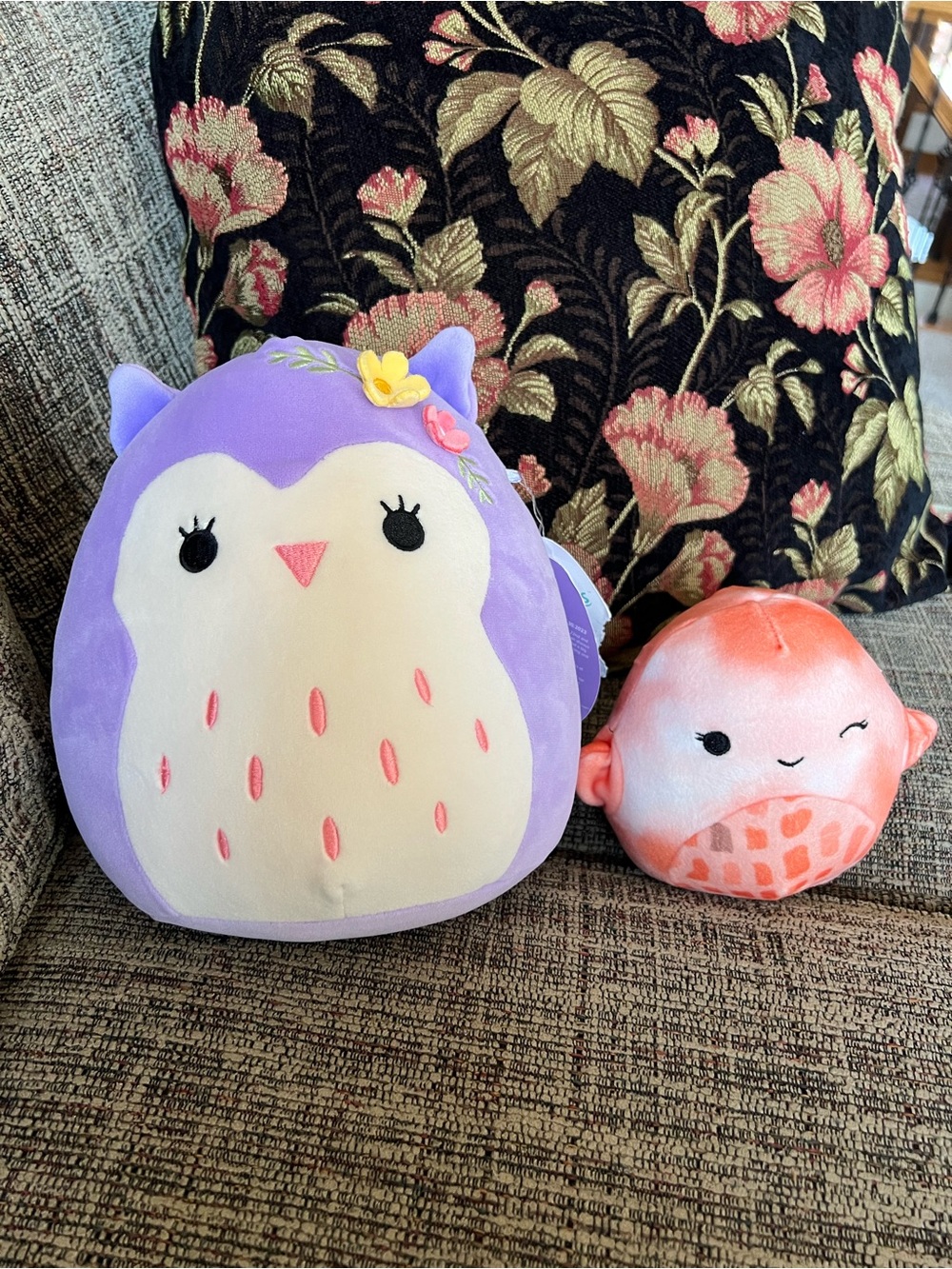 Two Squishmallows …Holly the Owl and Livvy the Starfish